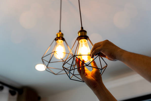 Best Ceiling Fan Installation Electrician  in Lake Camelot, IL