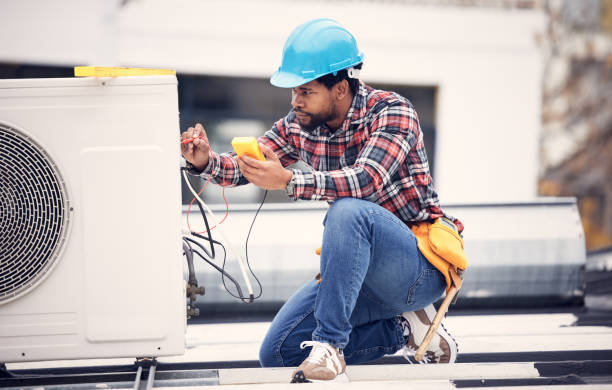 Best Local Electrician Companies  in Lake Camelot, IL